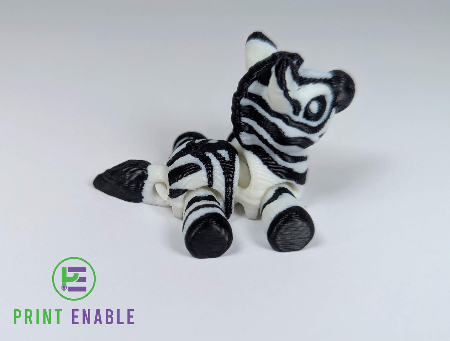 Zebra Hatchling