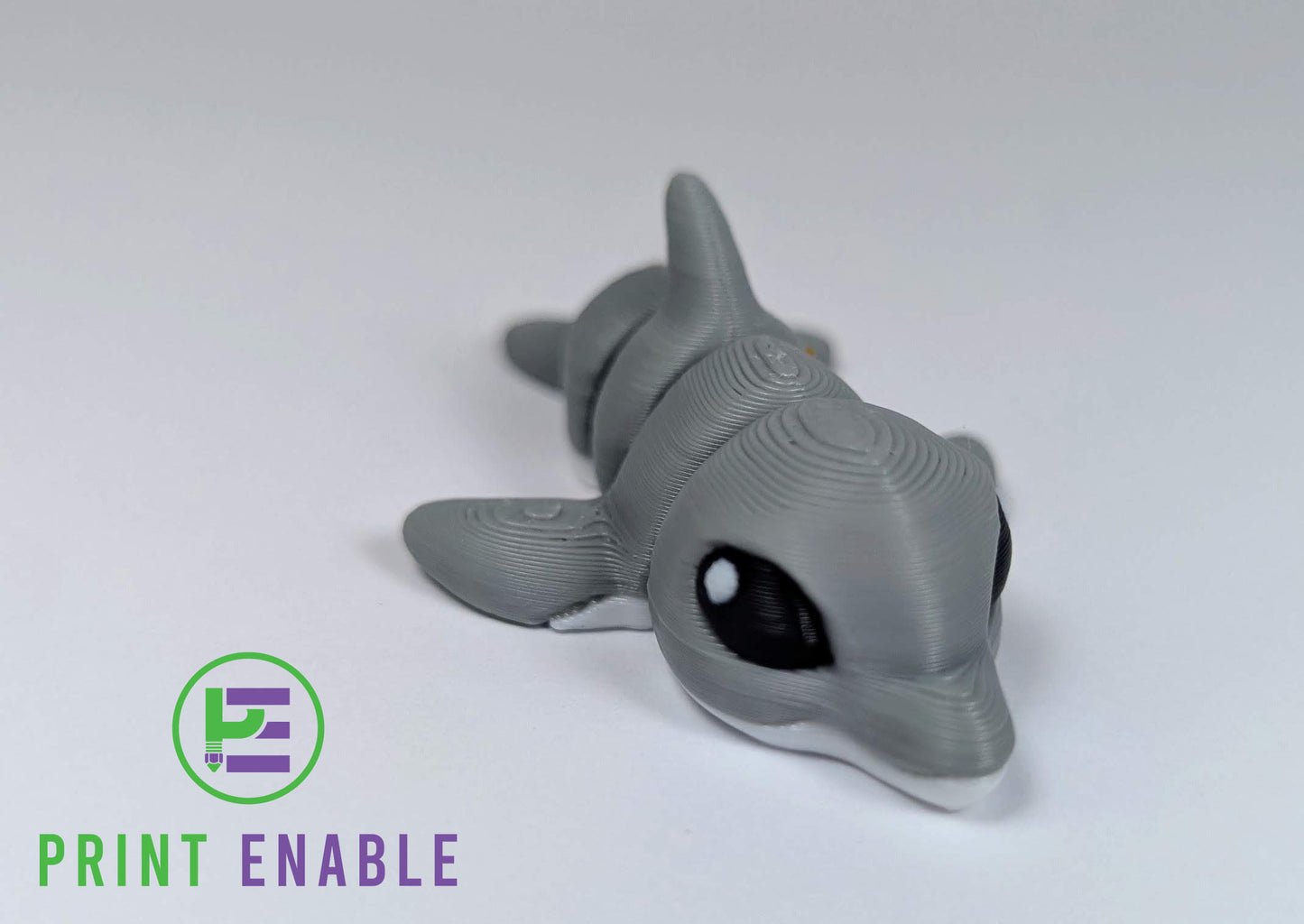 Dolphin Hatchling