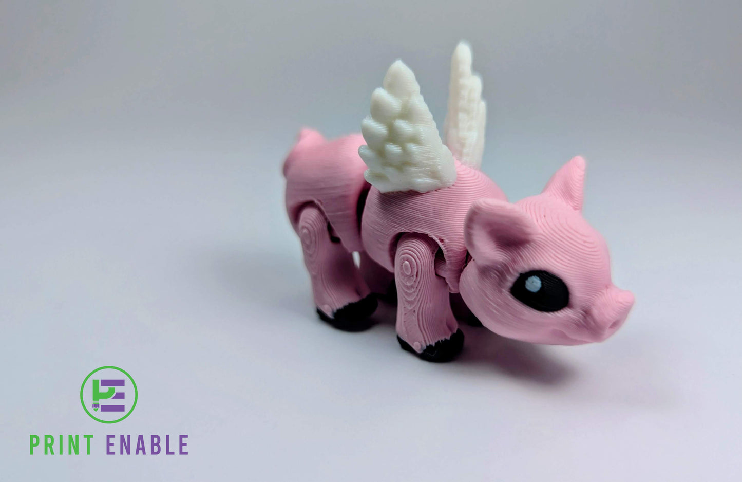 Pig Hatchling