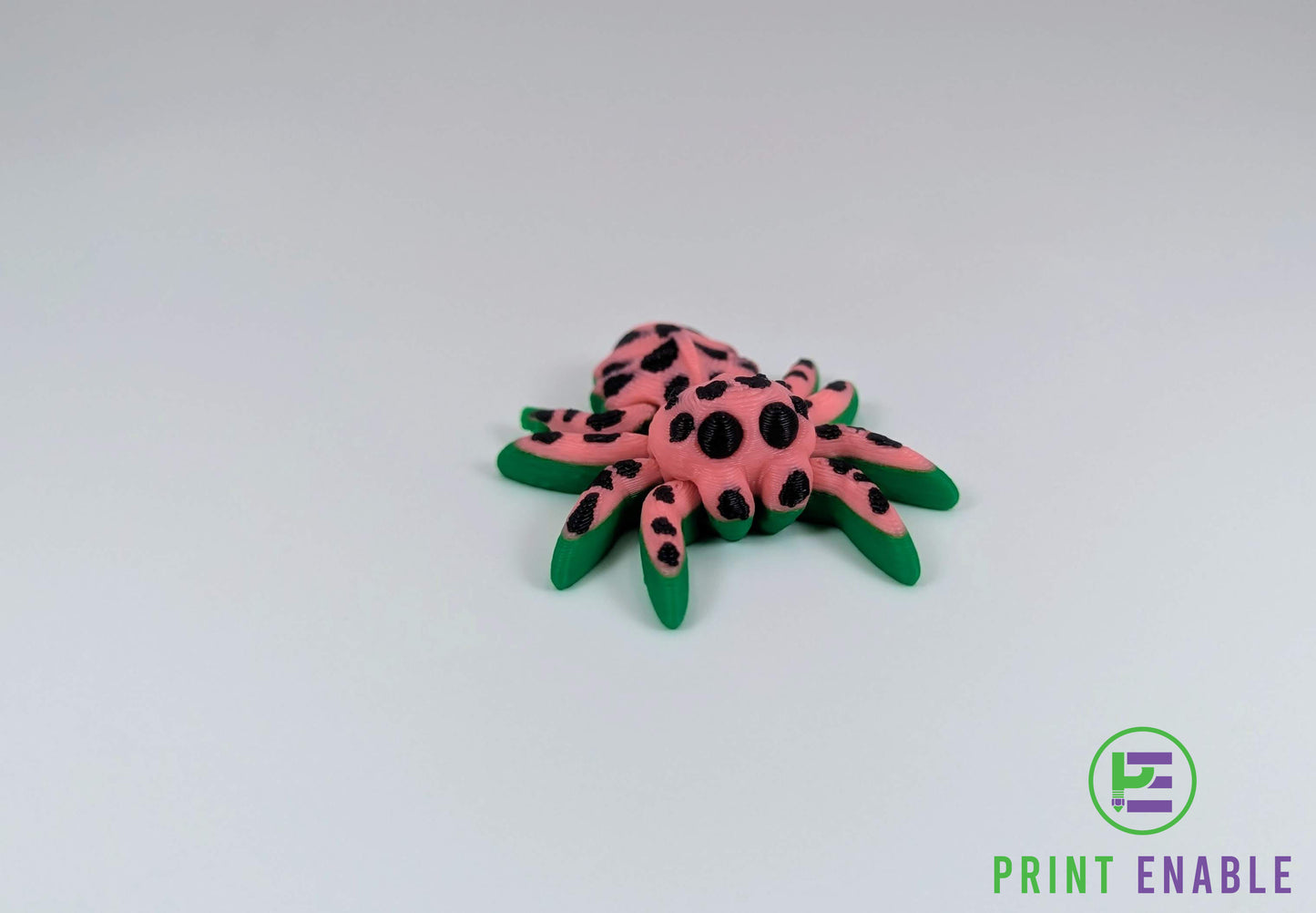 Spider Hatchling