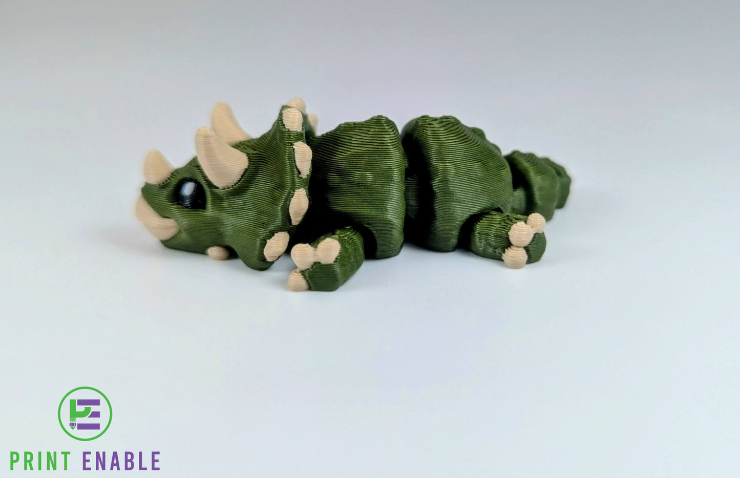 Triceratops Hatchling