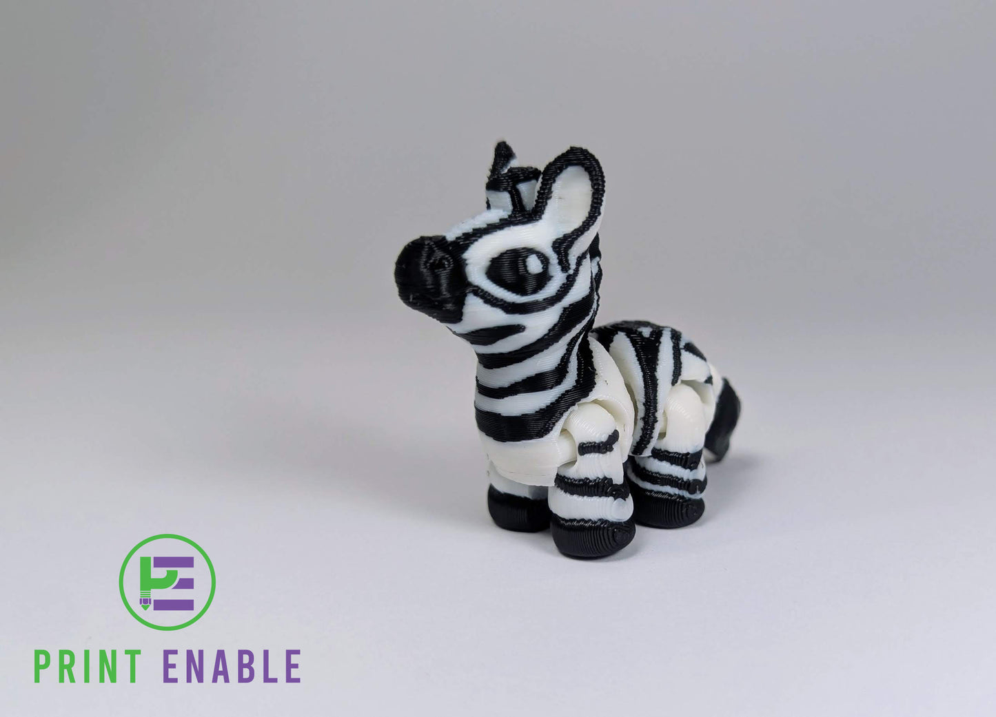 Zebra Hatchling