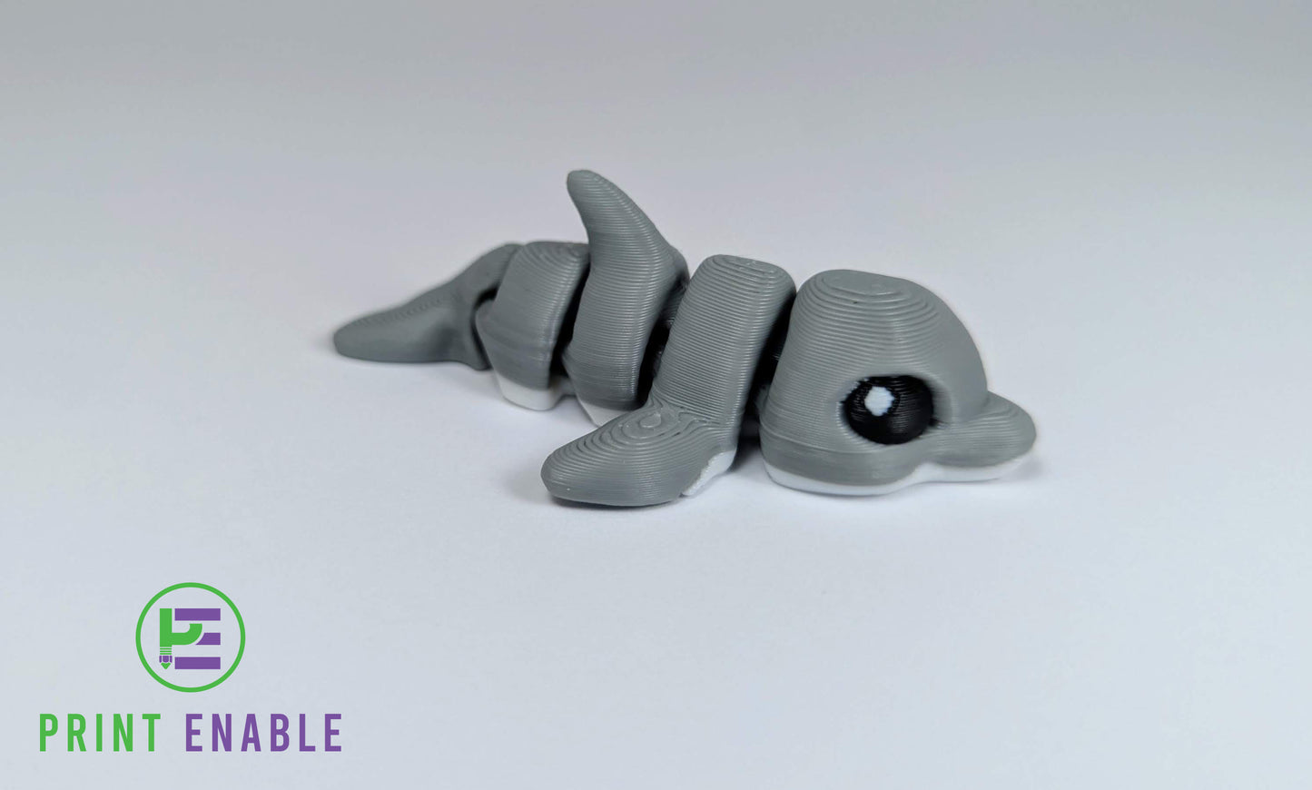 Dolphin Hatchling