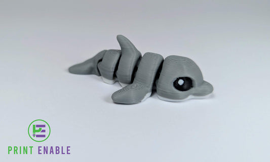 Dolphin Hatchling