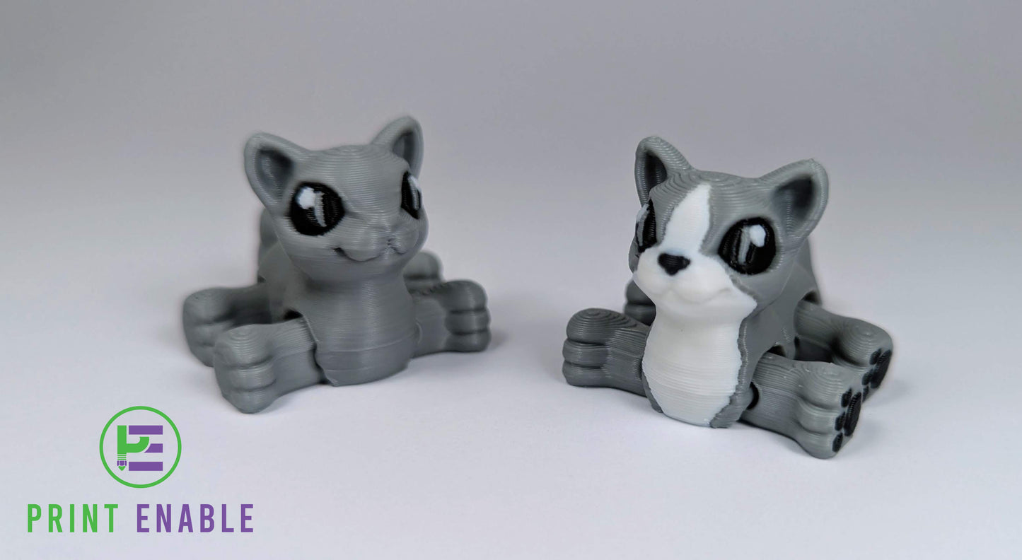 Cat Hatchling