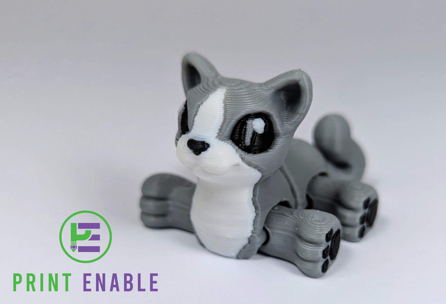 Cat Hatchling