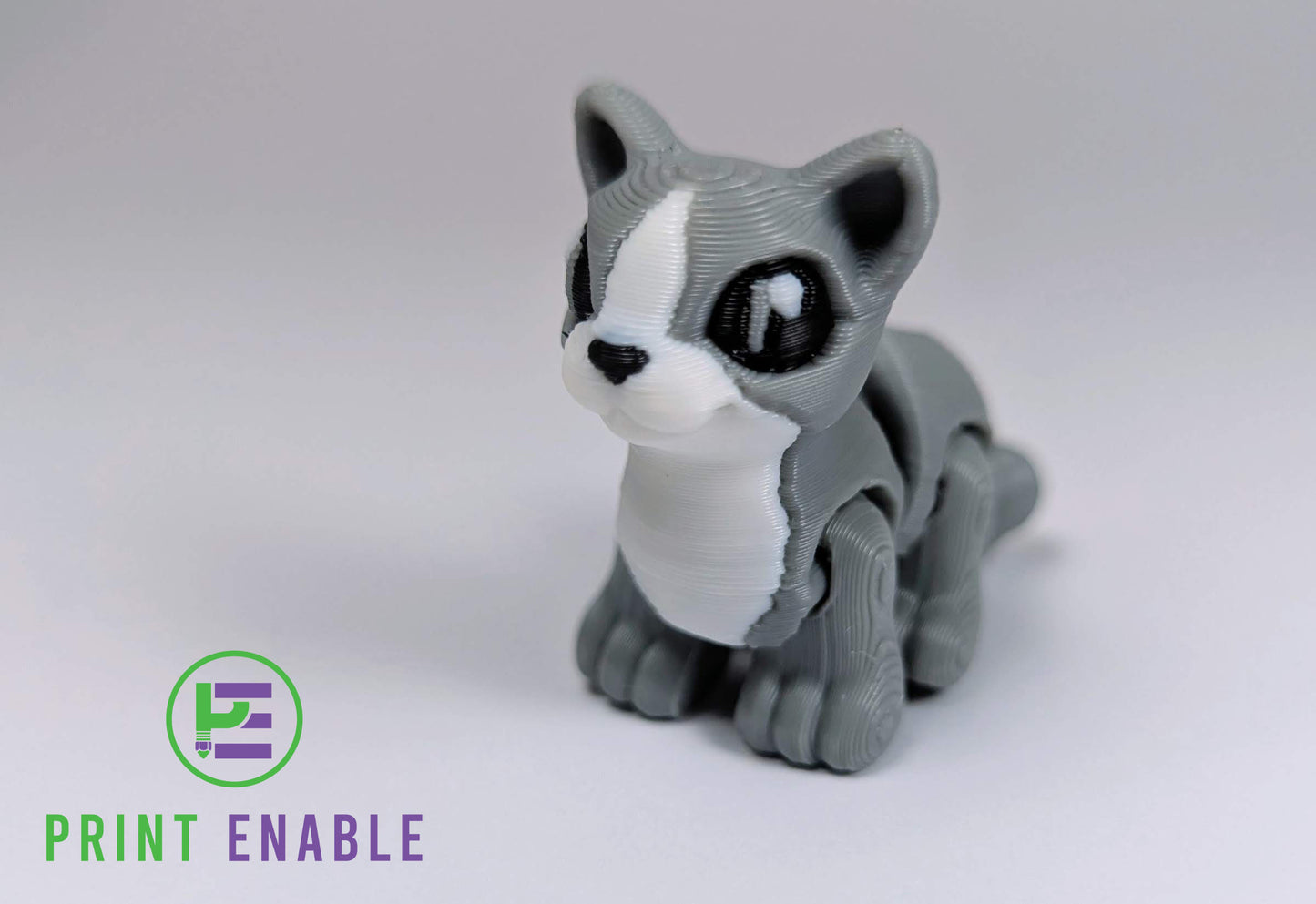 Cat Hatchling
