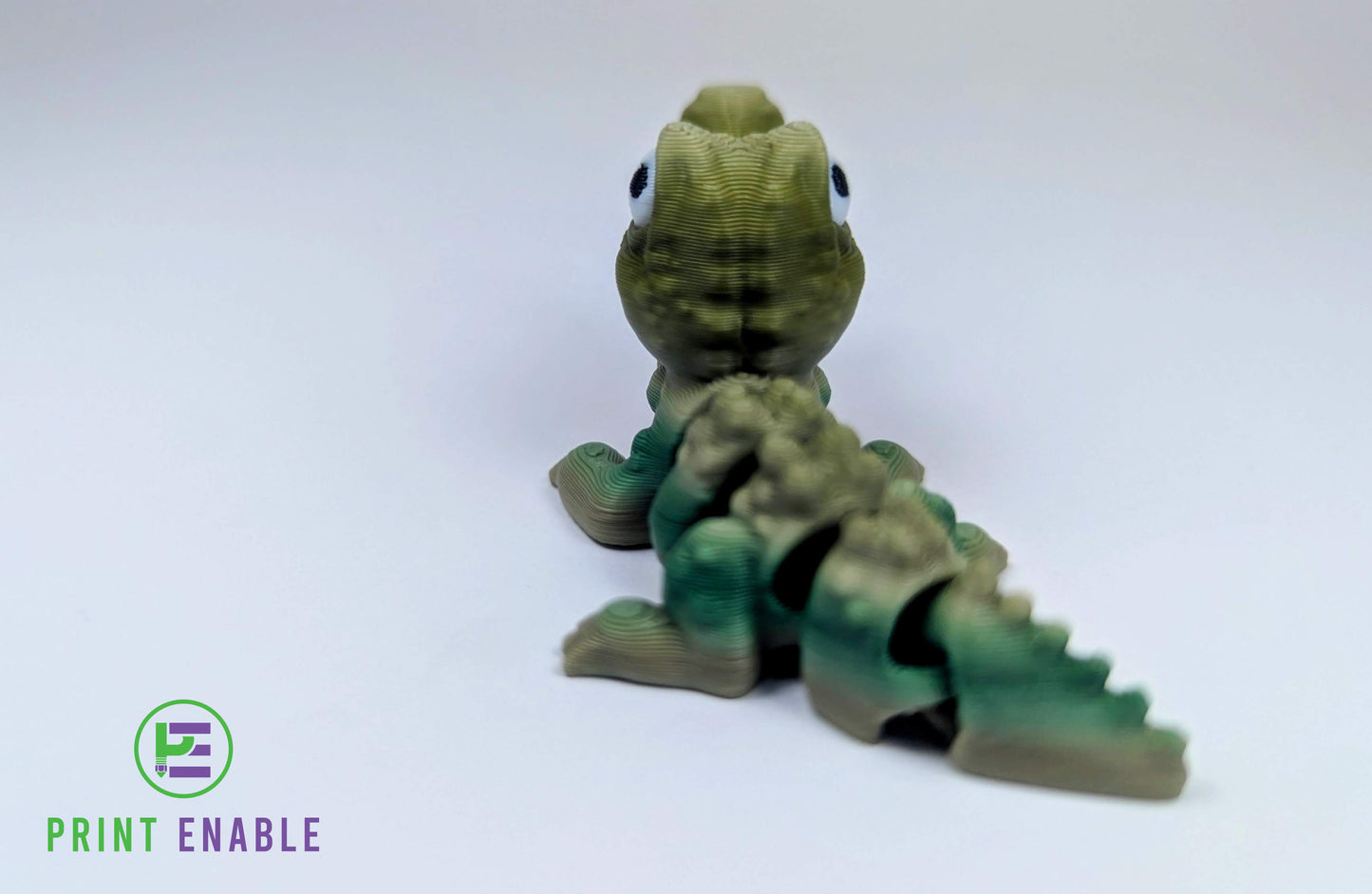 Crocodile Hatchling