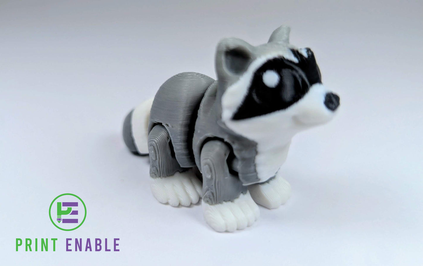 Raccoon Hatchling