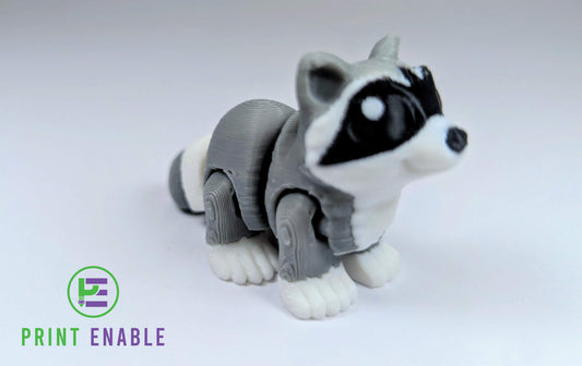 Raccoon Hatchling