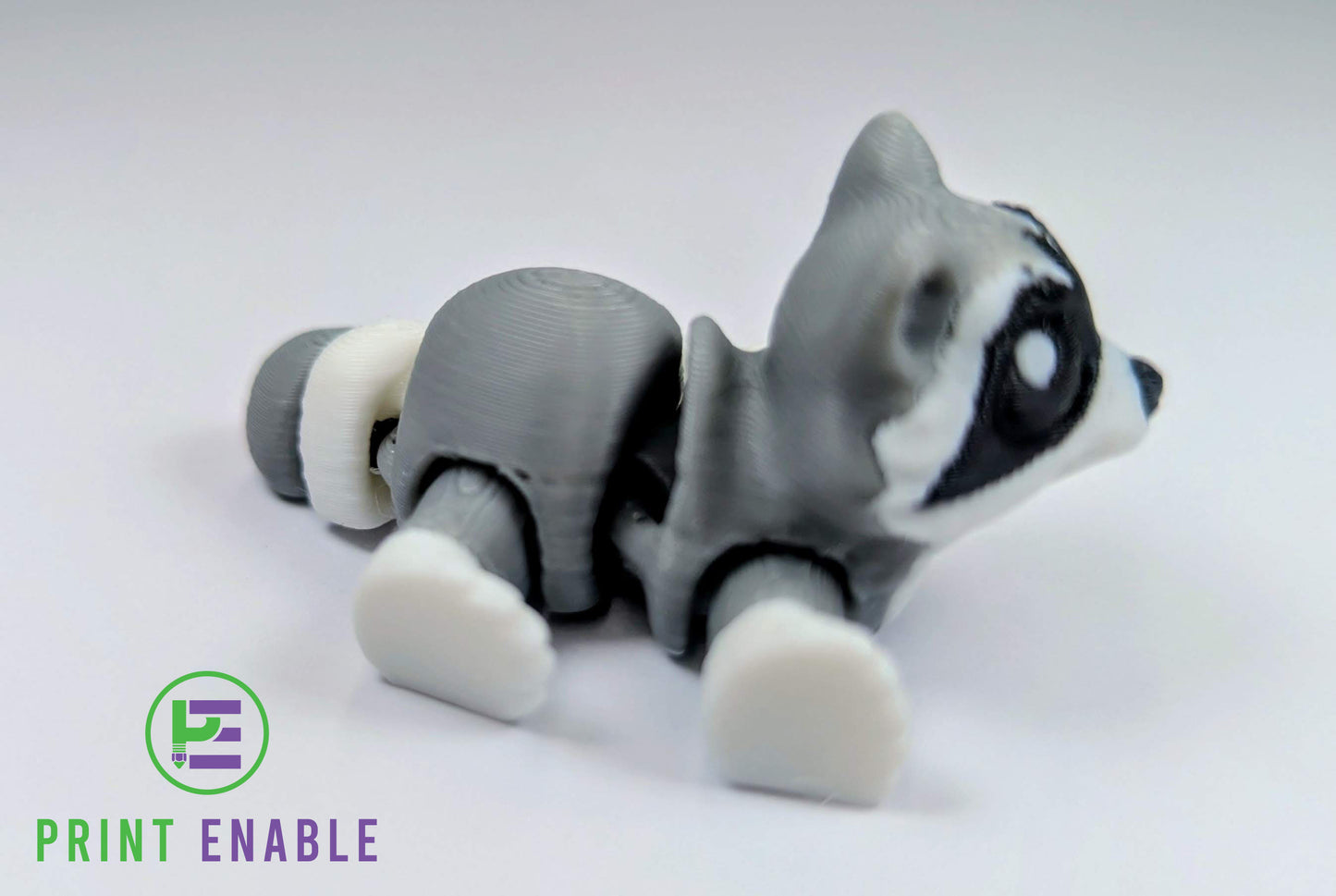 Raccoon Hatchling