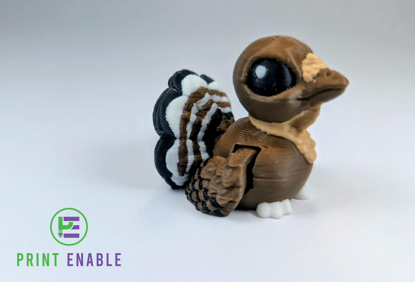 Turkey Hatchling