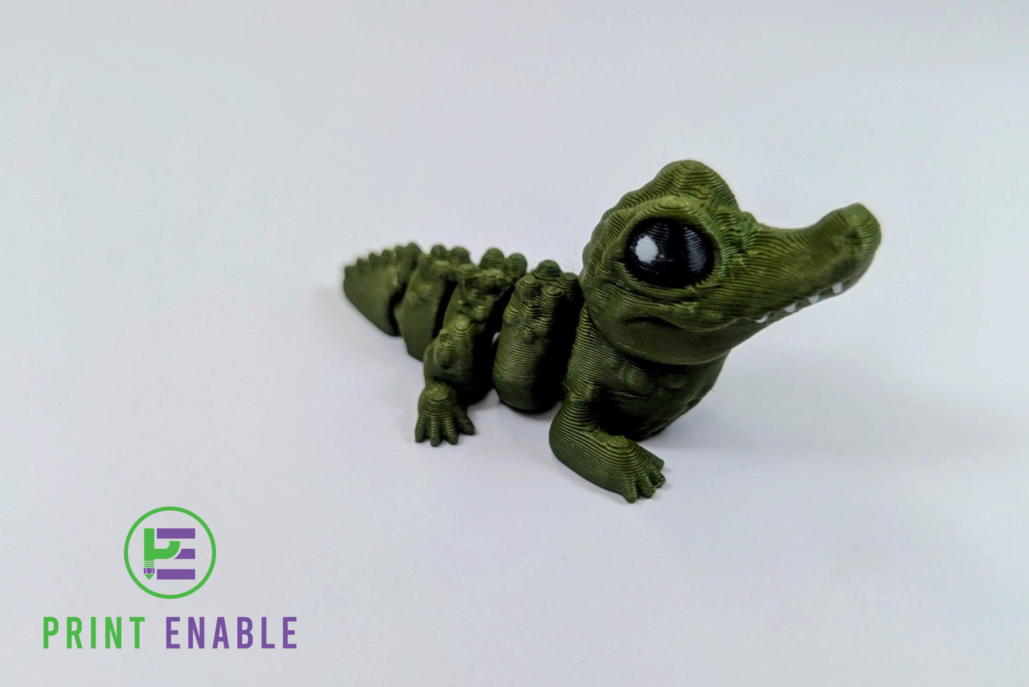 Crocodile Hatchling
