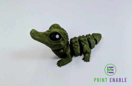 Crocodile Hatchling