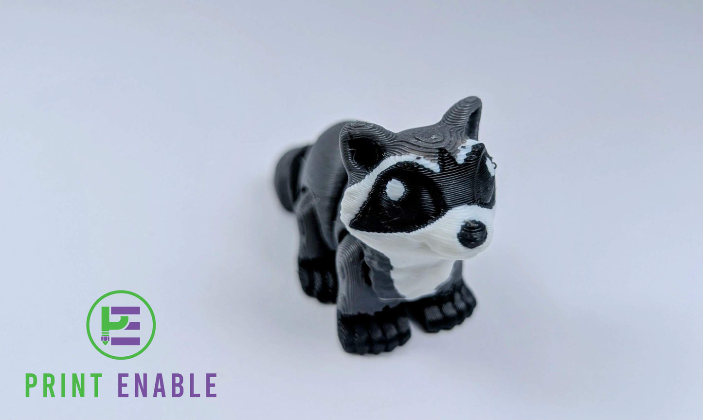 Raccoon Hatchling
