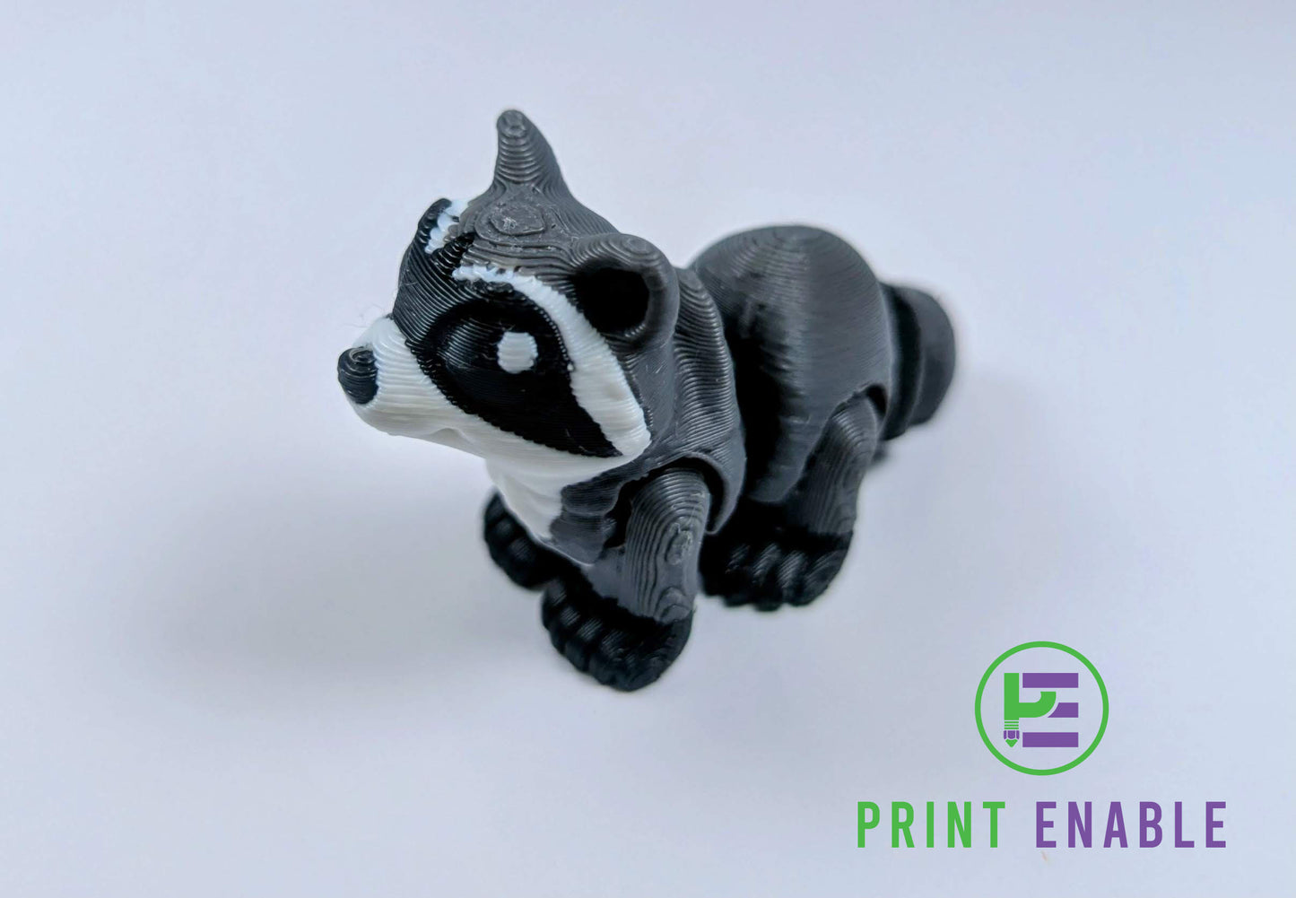 Raccoon Hatchling