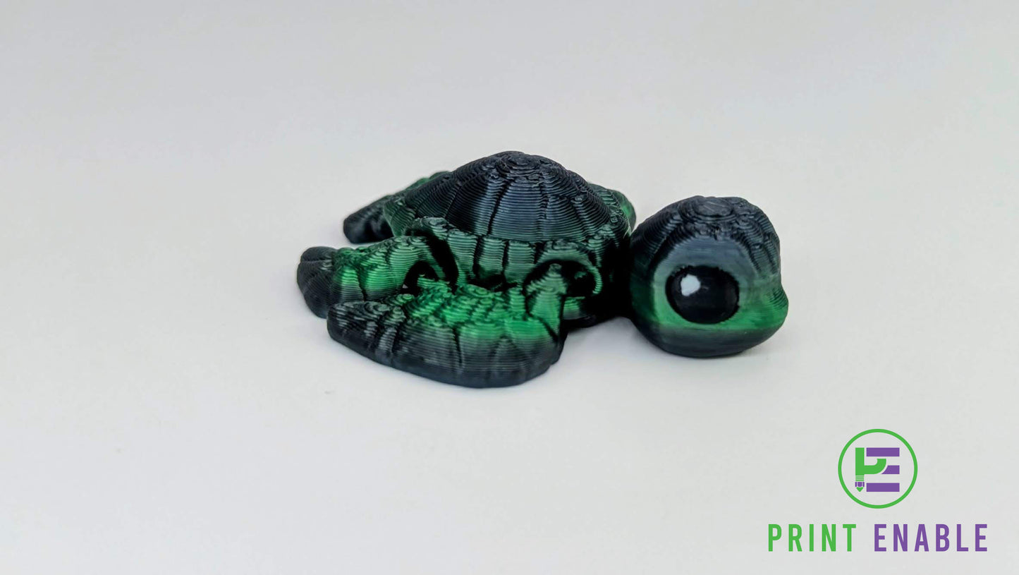 Turtle Hatchling