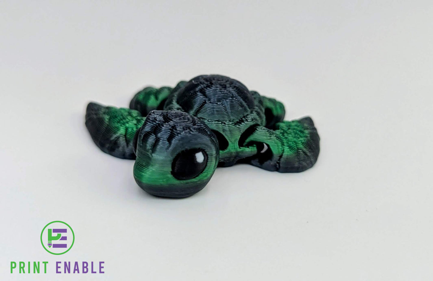 Turtle Hatchling