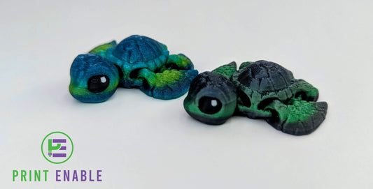 Turtle Hatchling