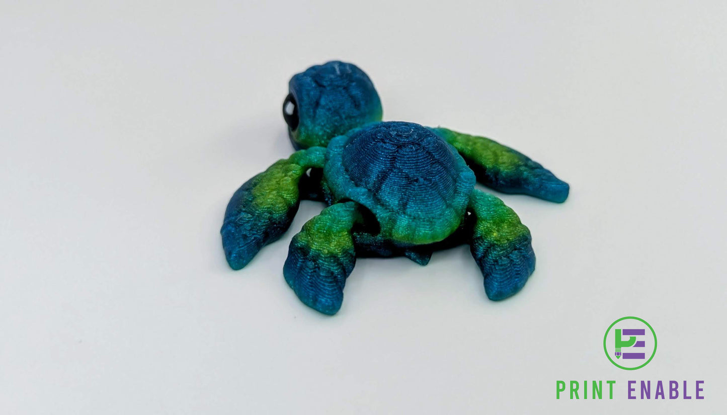 Turtle Hatchling