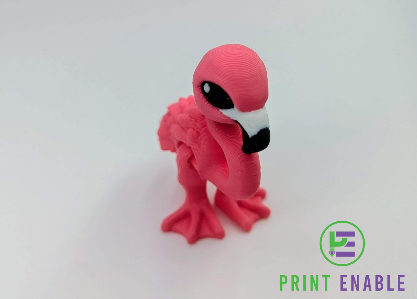 Flamingo Hatchling