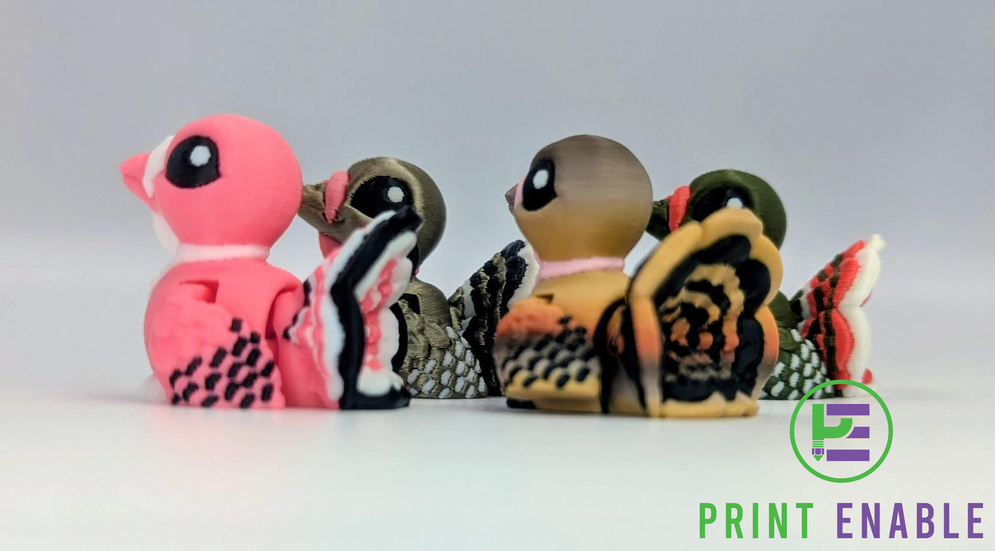 Turkey Hatchling