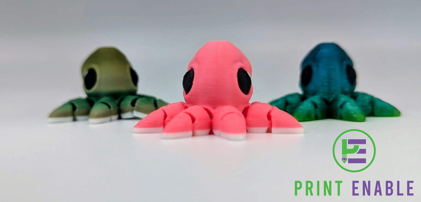 Octopus Hatchling