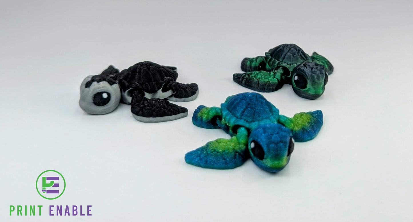 Turtle Hatchling