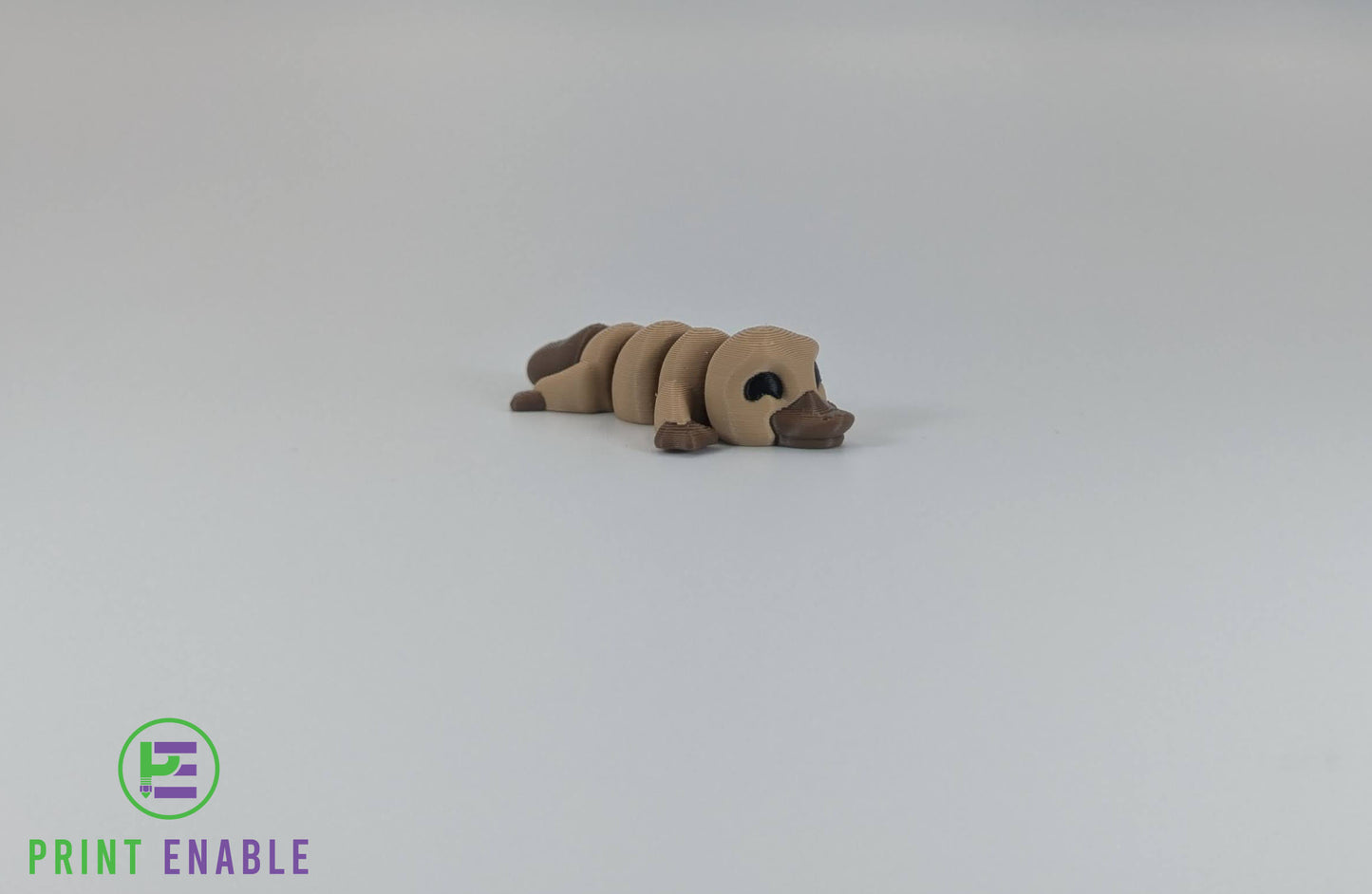 Platypus Hatchling