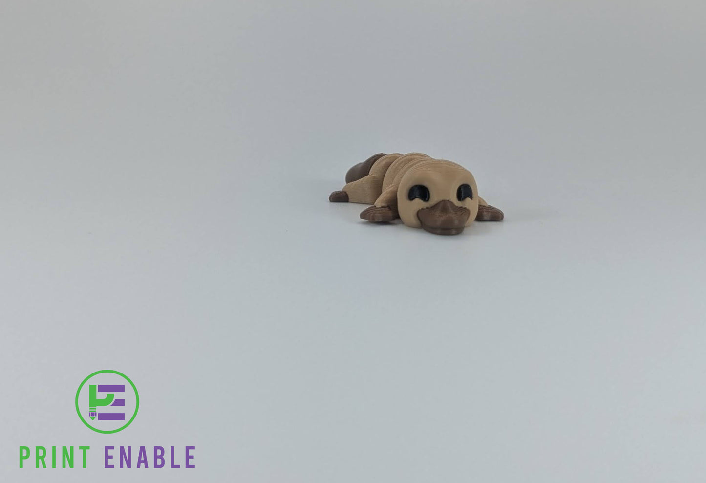 Platypus Hatchling