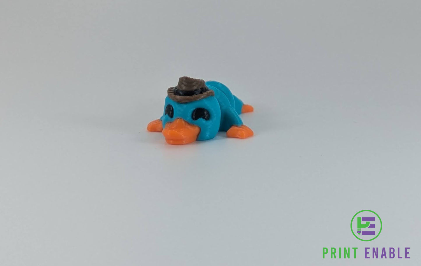 Platypus Hatchling