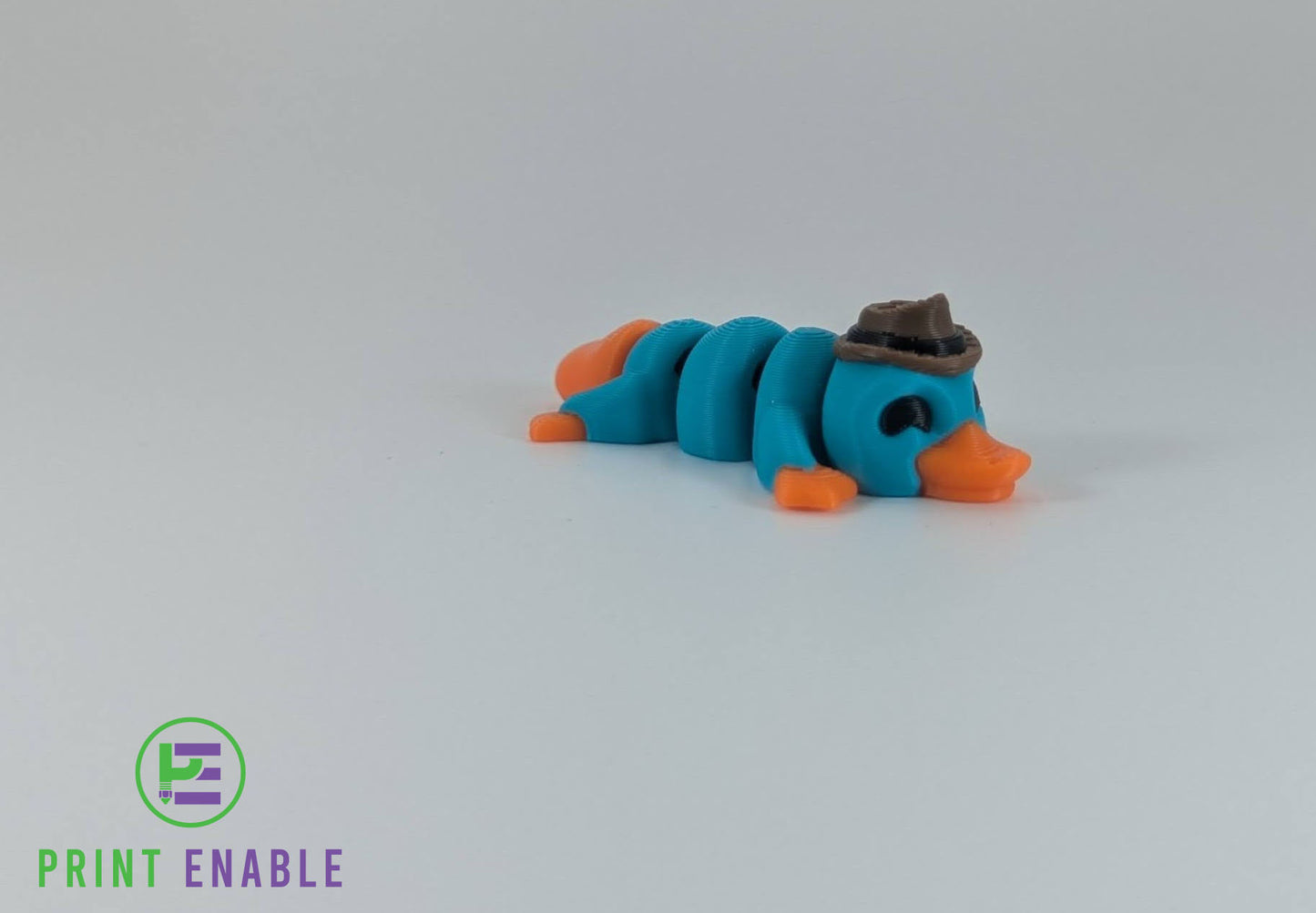 Platypus Hatchling