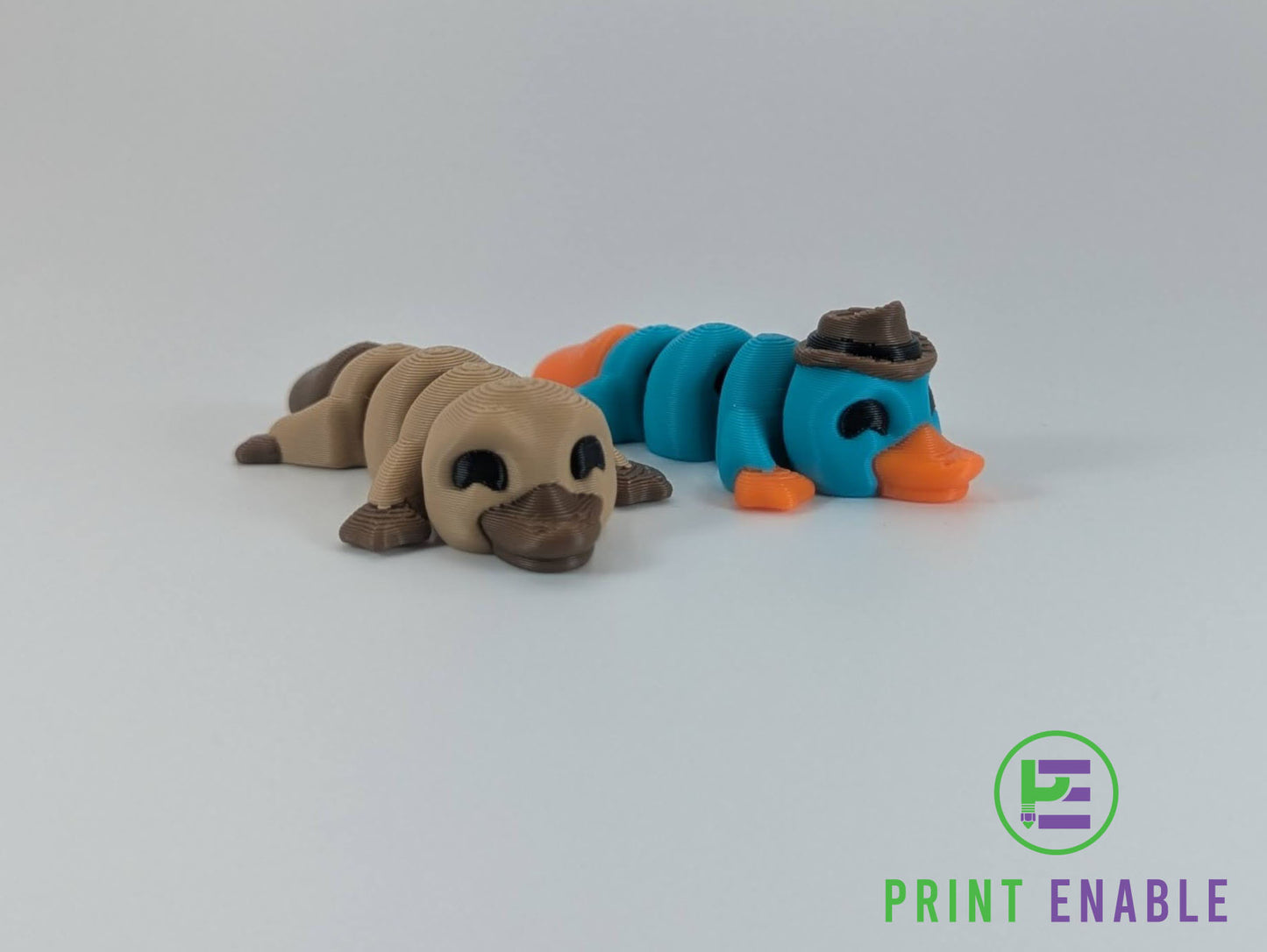 Platypus Hatchling