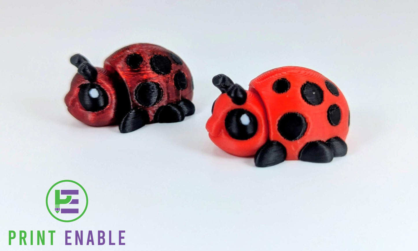 Ladybug Hatchling