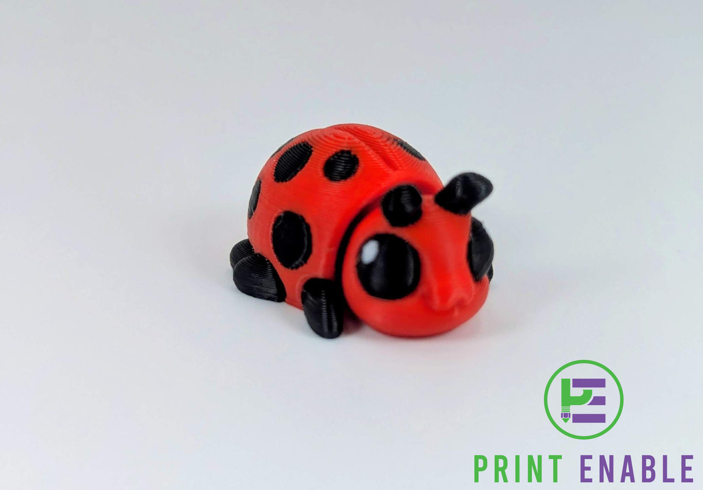 Ladybug Hatchling