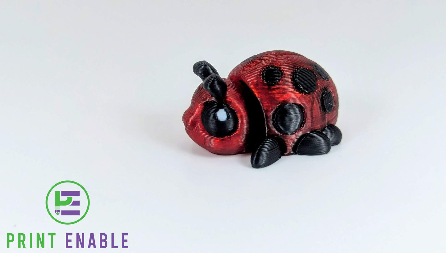 Ladybug Hatchling