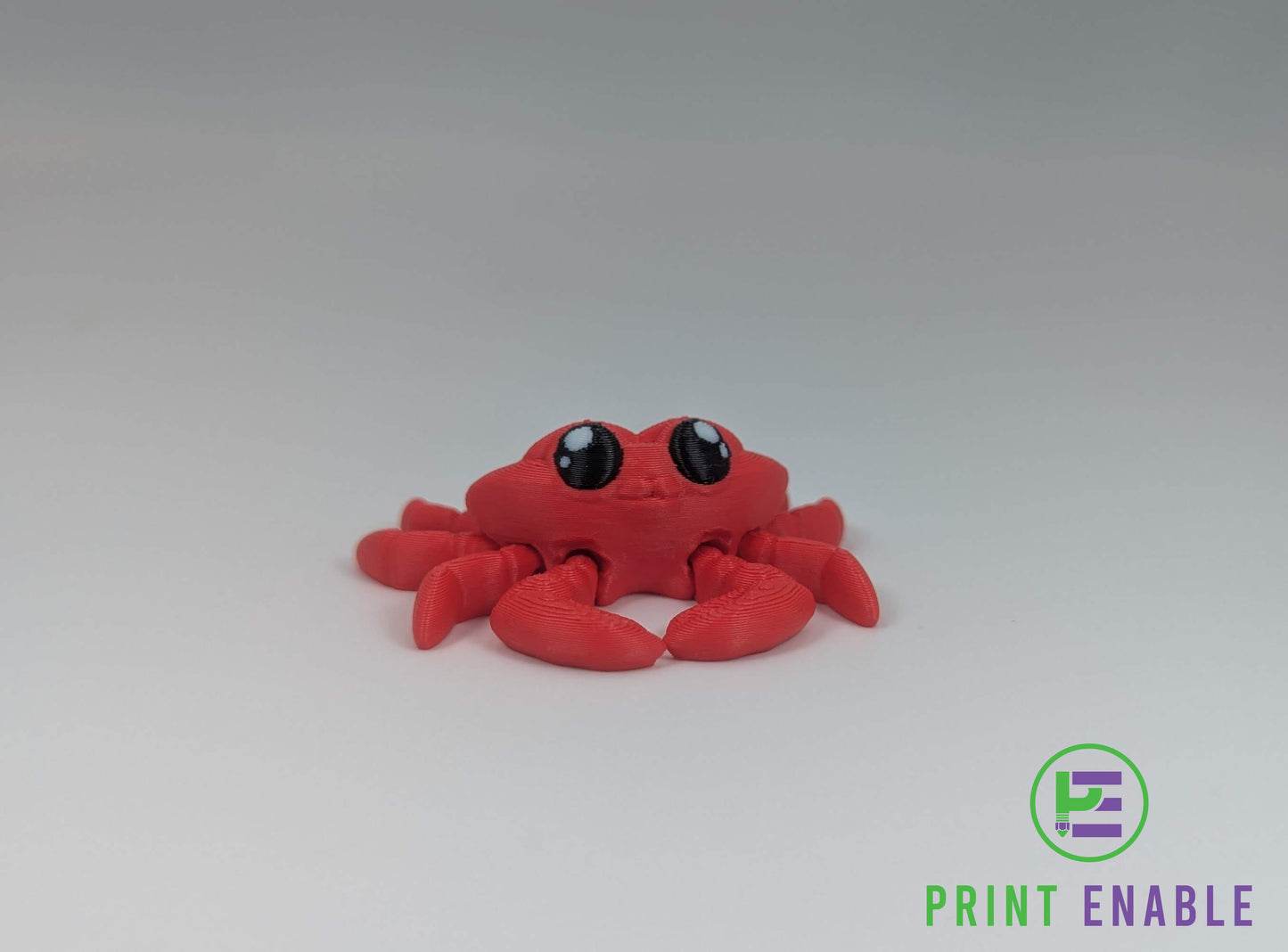 Crab Hatchling
