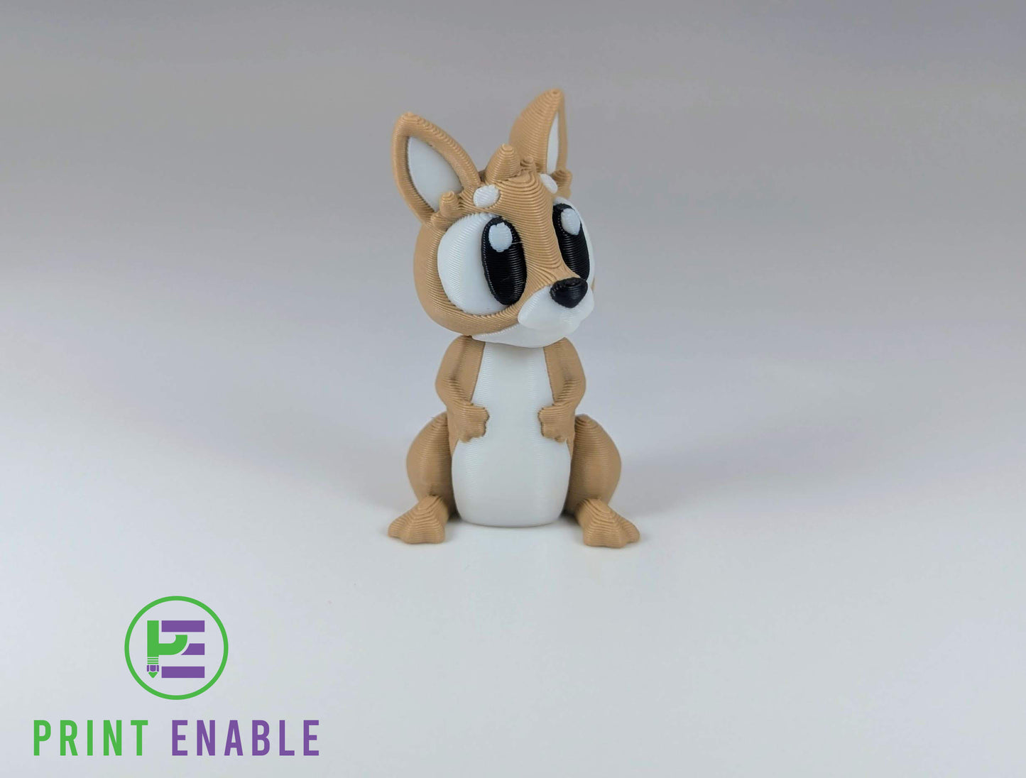 Kangaroo Hatchling