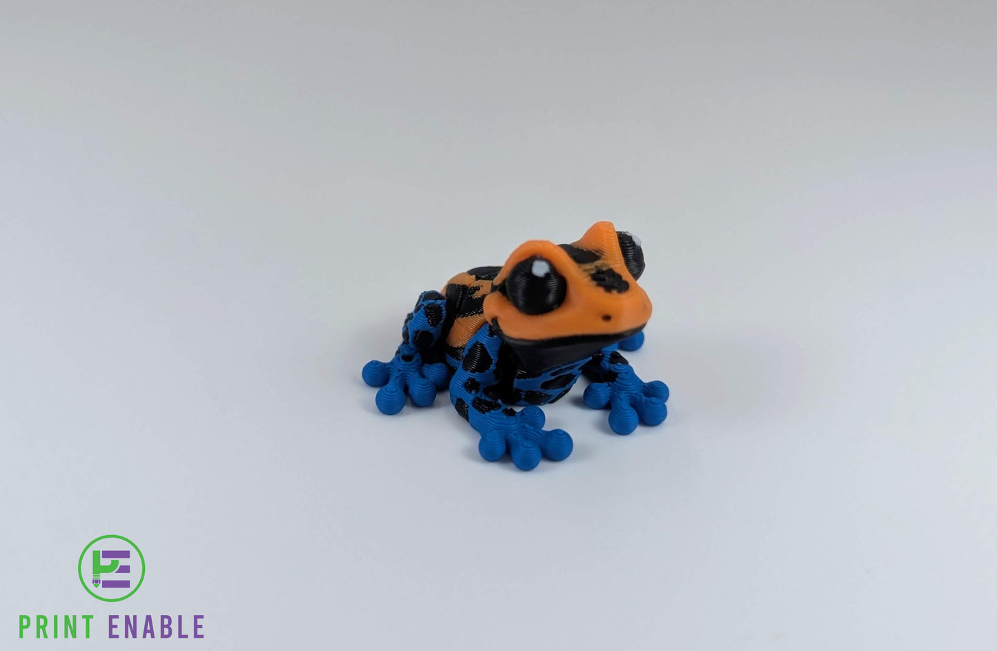 Frog Hatchling