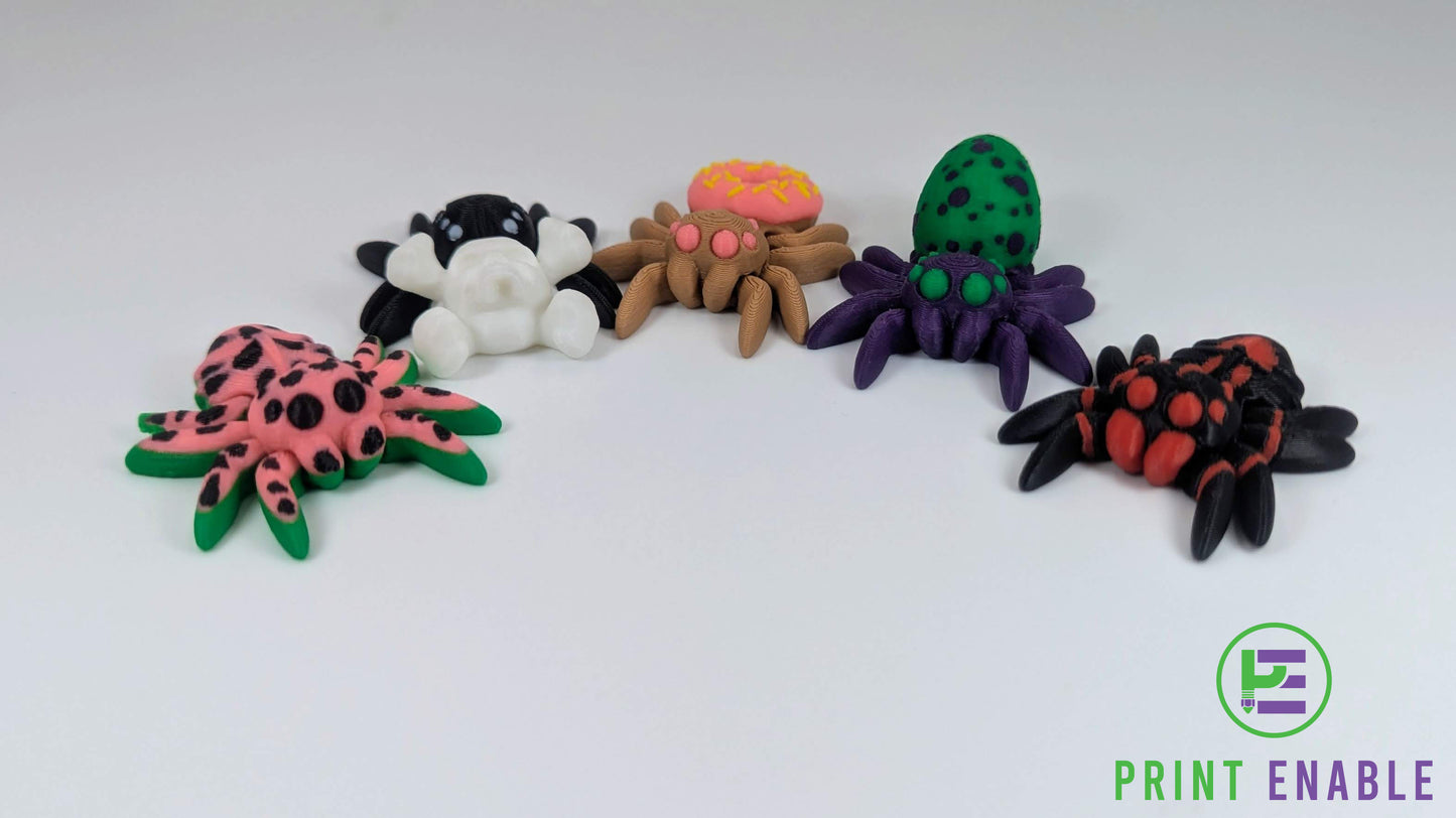Spider Hatchling