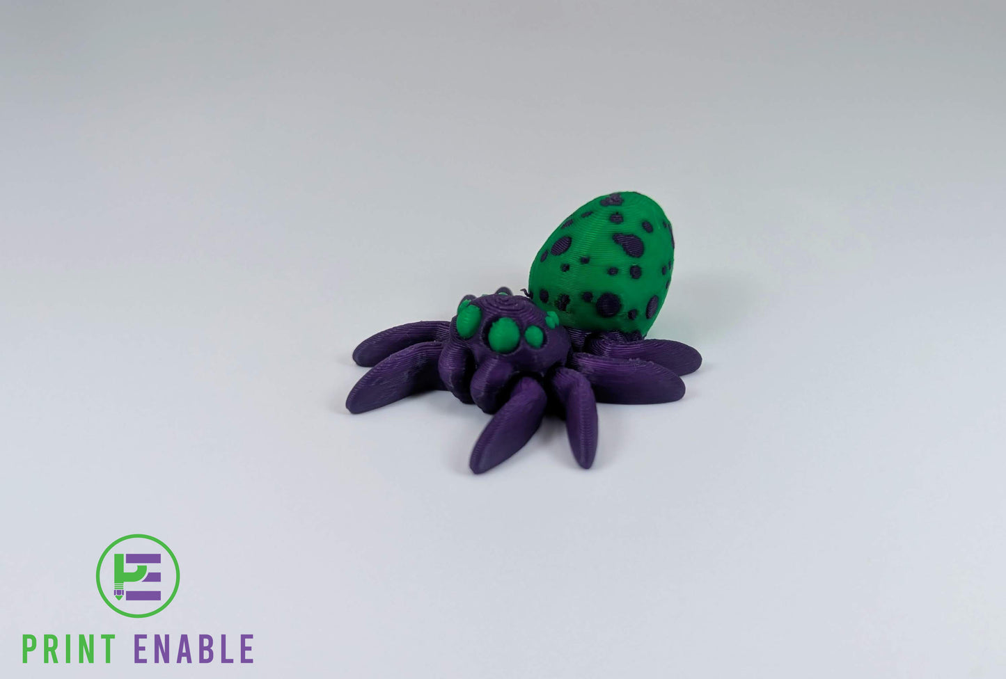 Spider Hatchling