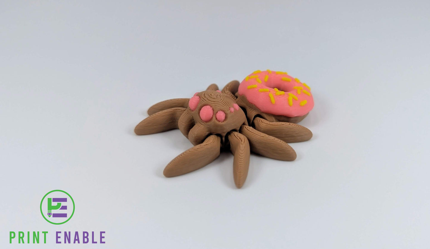 Spider Hatchling