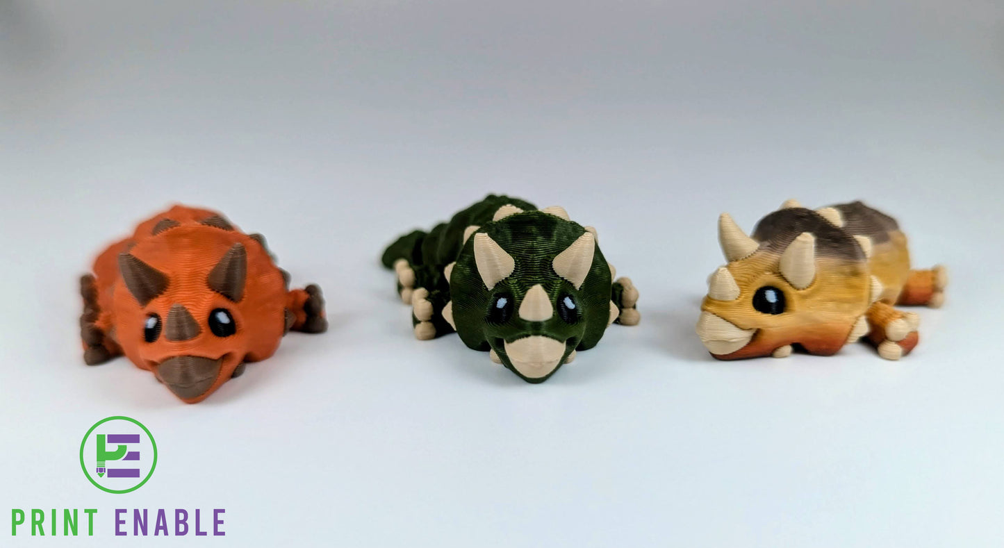 Triceratops Hatchling