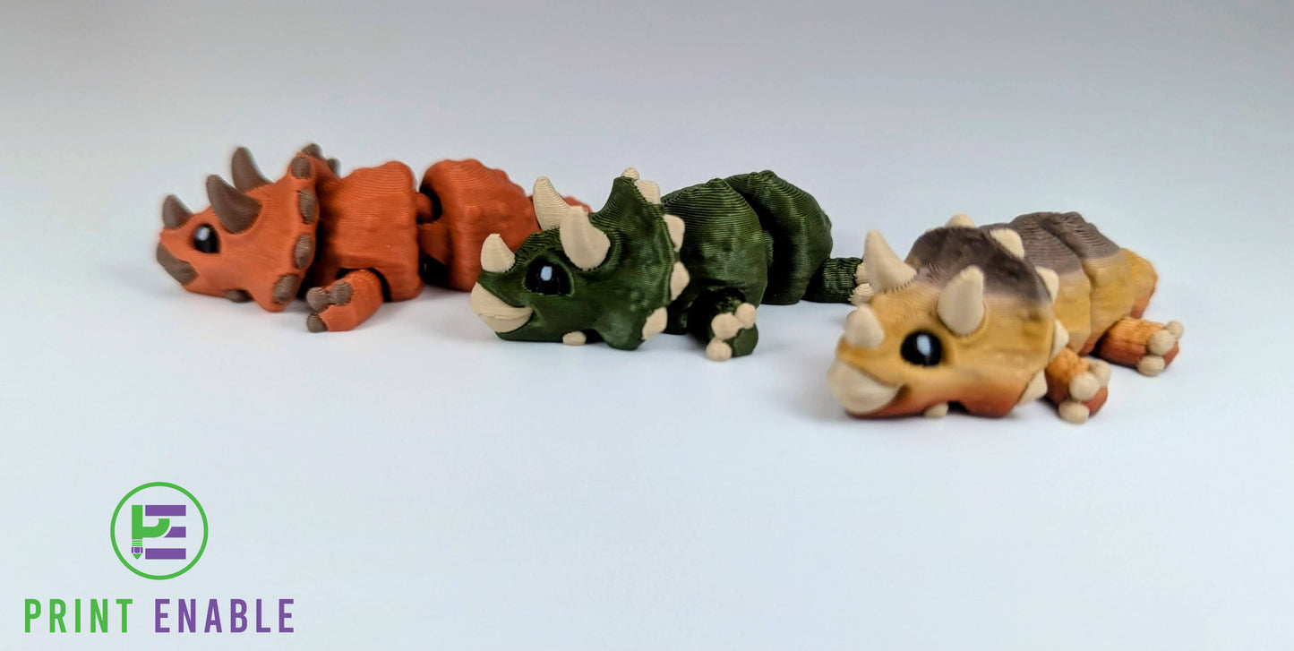 Triceratops Hatchling