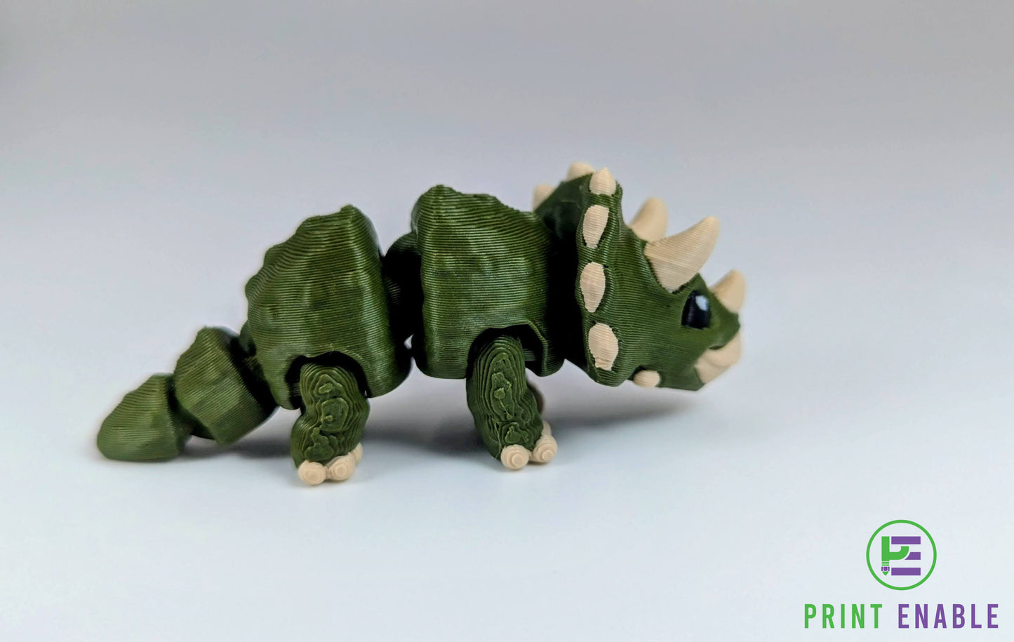 Triceratops Hatchling