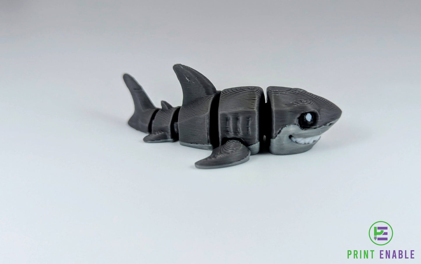 Shark Hatchling
