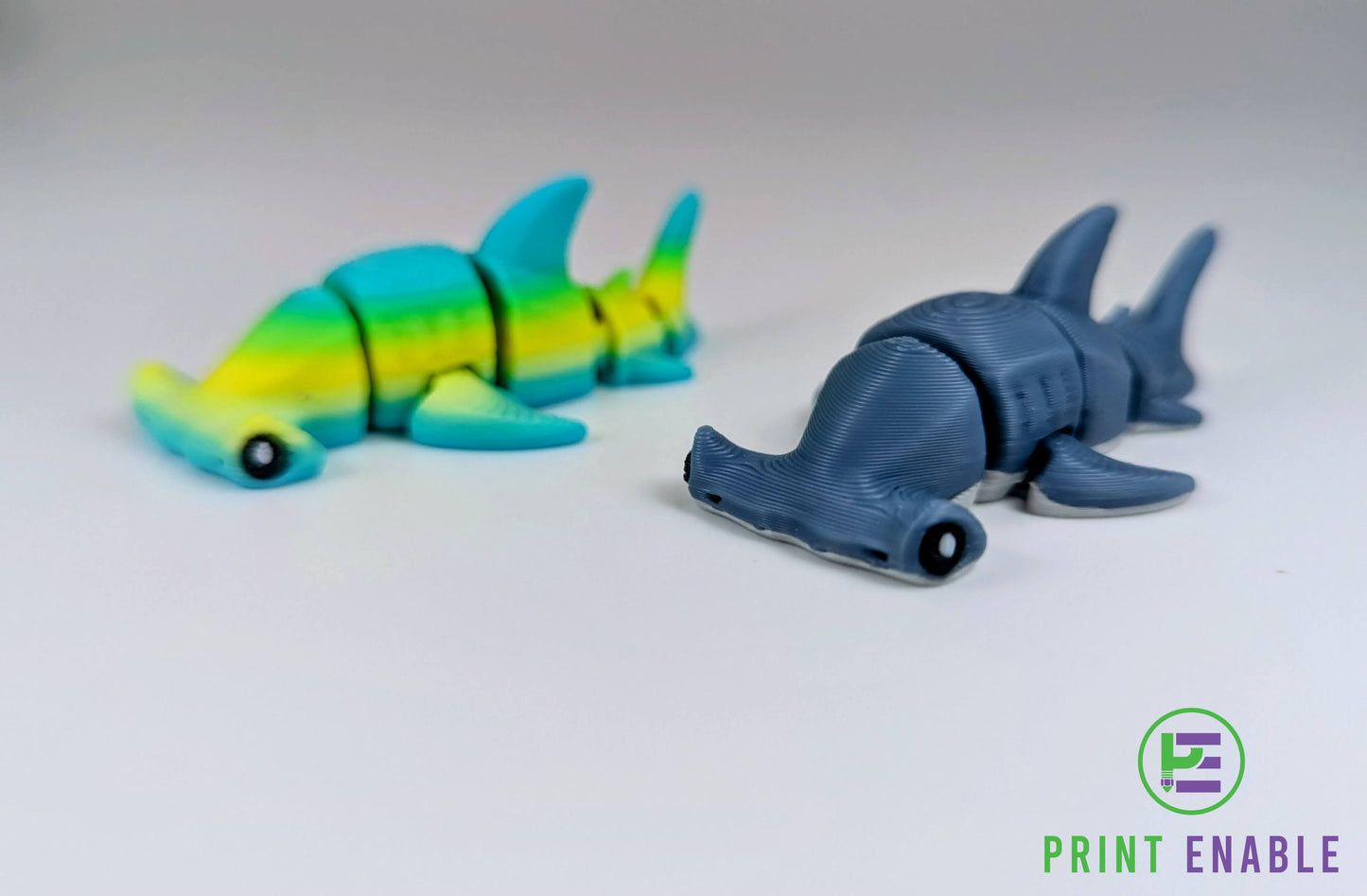 Shark Hatchling