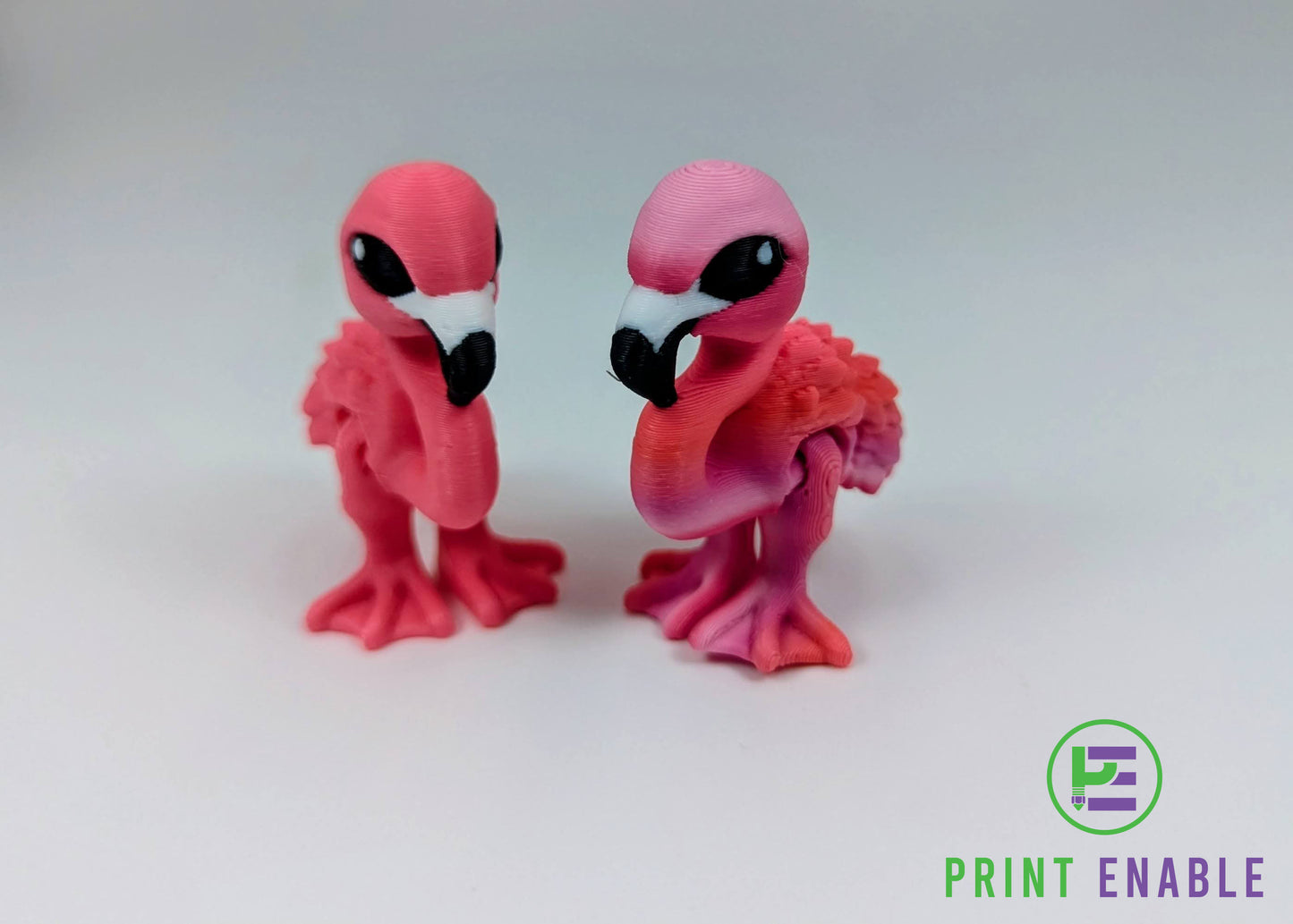 Flamingo Hatchling