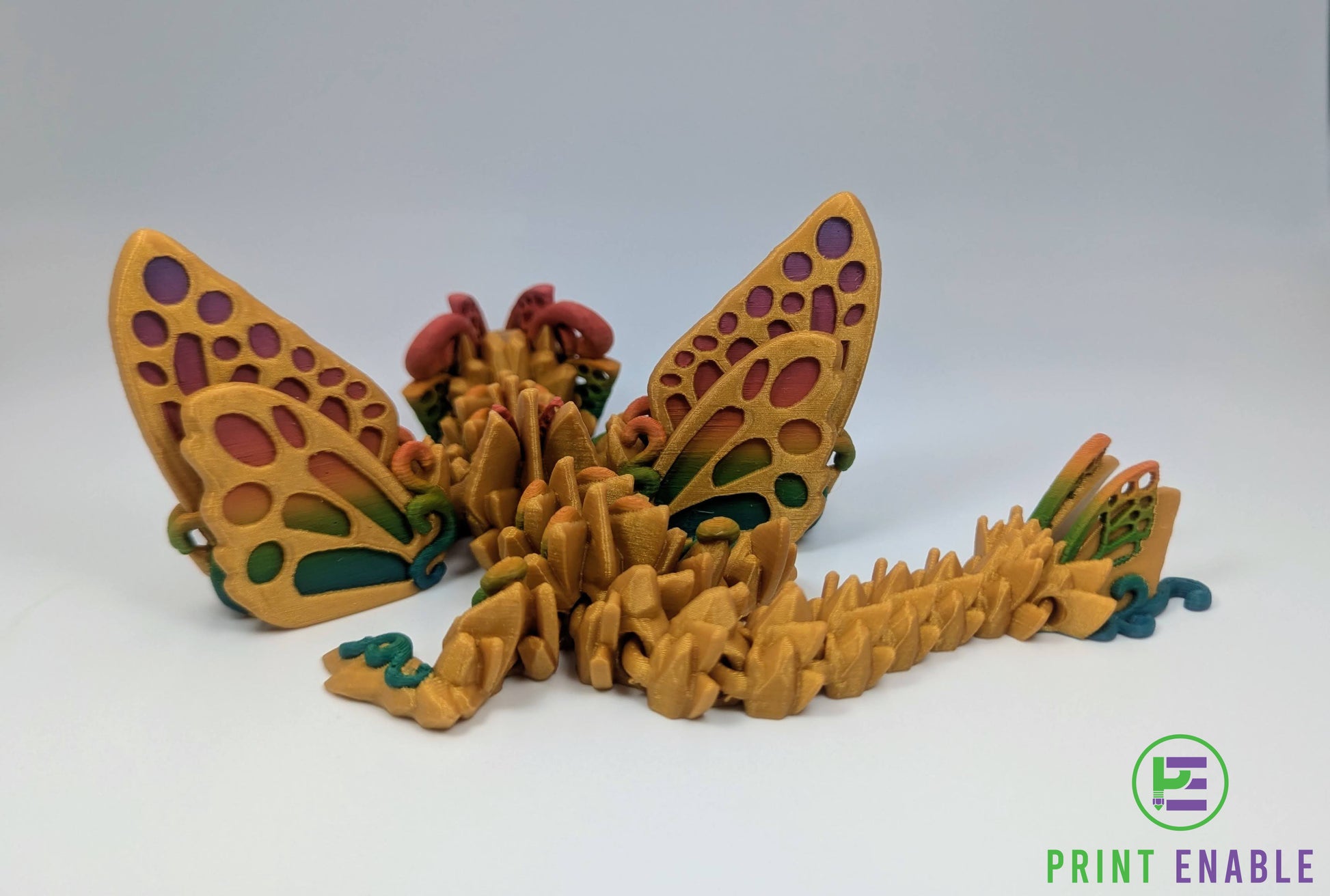 Baby Butterfly Dragon shown in multiple colour options demonstrating custom colour combinations
